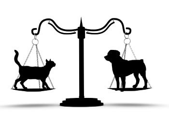 Everything about Animal Law: Animal Law Resource Center | The Barrister